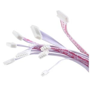 2.54mm 4-Pin Dual Female to Female Connector with 220mm Wire
