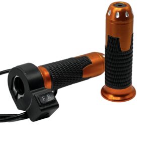 Electric Bicycle Throttle Handle Switched E-Bike with Switch