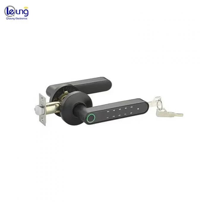 s604l-digital-smart-handle-door-automatic-lock-with-rfid-pin-key-and-biometric-verification-system-for-home-office-security-at-best-price-in-pakistan.jpg S604L Digital Smart Handle Door Automatic Lock with RFID, Pin, Key and Biometric Verification System for Home Office Security - Image 3
